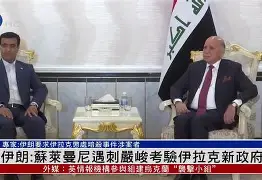 图卢兹将迎战苏莱曼尼亚的足球比赛的简单介绍