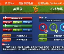 柏林赫塔vs汉堡预测